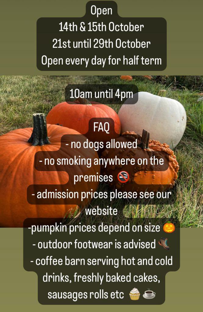 Coleby PYO Pumpkins tweet media
