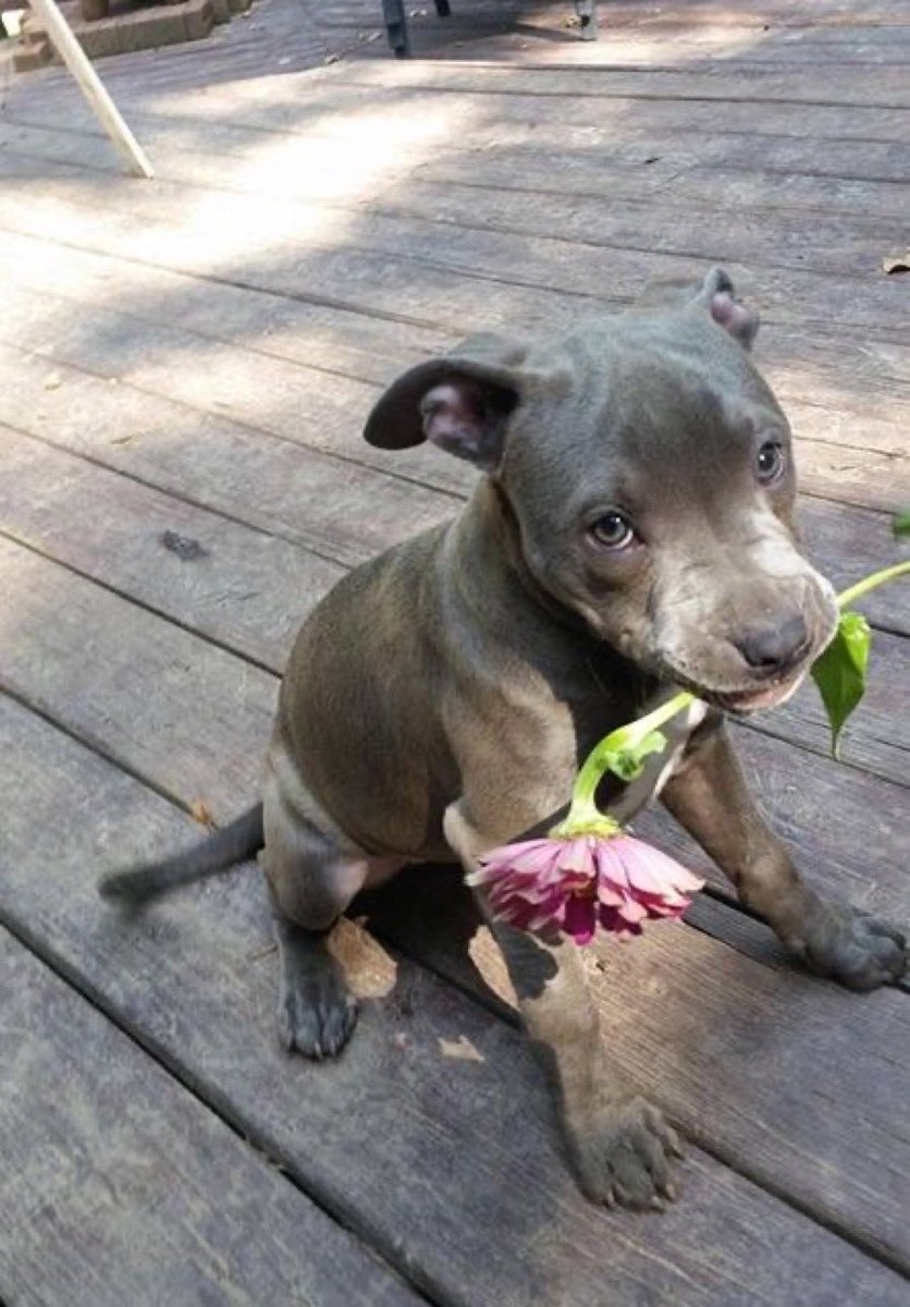 emmy. ♡ tweet media