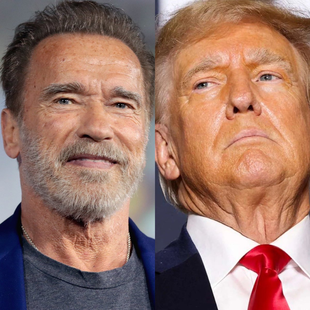 BREAKING: Arnold Schwarzenegger hilariously exposes Donald Trump for absurdly claiming that he weighs just 215 pounds — and gets in some great jabs.

During an appearance on Jimmy Kimmel’s show, the movie star and former Republican governor was asked if he thinks it’s “possible”