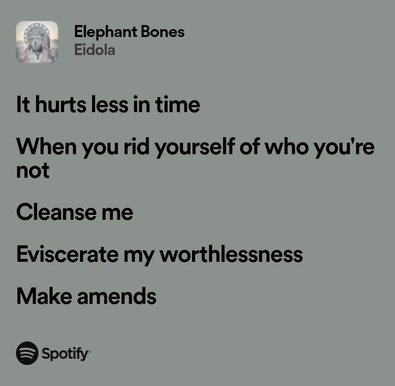 echonotgecko's tweet photo. https://t.co/w3O0IovLJk https://t.co/7ootDmmb74