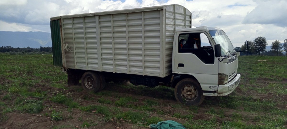 Kalasinga_01's tweet photo. It's harvest time. We got no regrets having invested in #POTATO #farming. Visit our farm in Ol Kalou to learn more. #ArrestEzraChiloba #SenatorAmerudi #Uhuru #PopeFrancis #NjeriRionge #Donbass #earthquake #ElNiño #LuoNyanza #Akothee #Nairobi #Simp #OleSapit #Haiti #Wakadinali #Omosh #Starlink