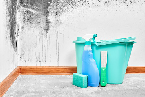 PassionCleanin's tweet photo. We can provide a safe, sterile environment with efficient, comprehensive deep cleaning services. Contact Passion Cleaning Service today for a quote!

#DeepCleaning https://t.co/u9W9ZEpxgm https://t.co/scjRryxguD