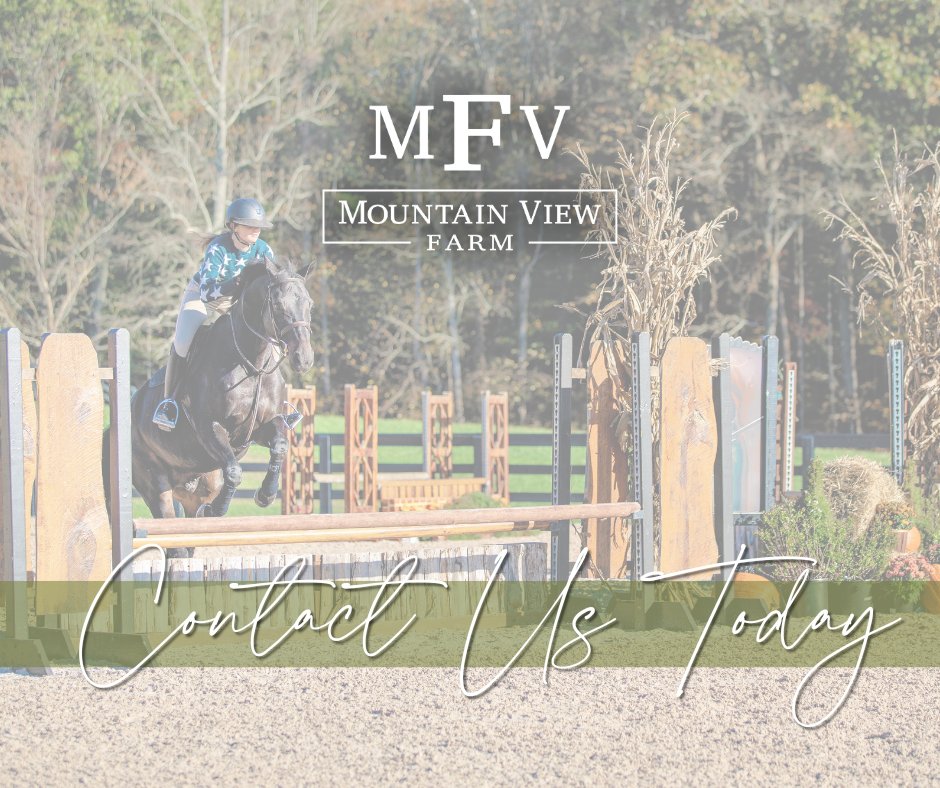 If your goal is to become a better rider, we would love for you train with us and join the Mountain View Farm team! Come train and compete with us! For more information, visit bit.ly/38Ixf35
#mountainviewfarm #equestrian #welovehorses #thebarnatMVF #joinourequestrianteam