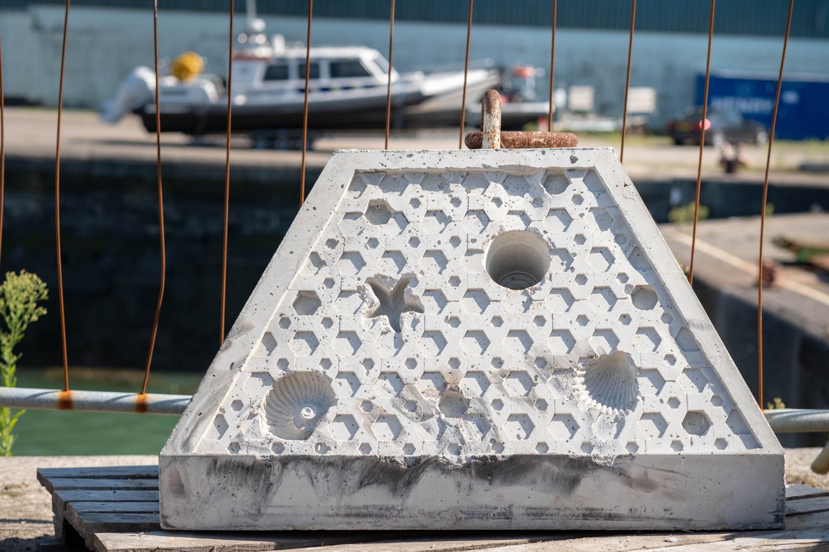 metawales's tweet photo. Could this be the future for floating offshore wind infrastructure? 👀

META is facilitating this pioneering deployment of 'ExoReefs' - nature-friendly infrastructure that could be used on future  projects in the Celtic Sea 🌊🐚

https://t.co/XQkMffDBJu https://t.co/OEIbKK84Rz