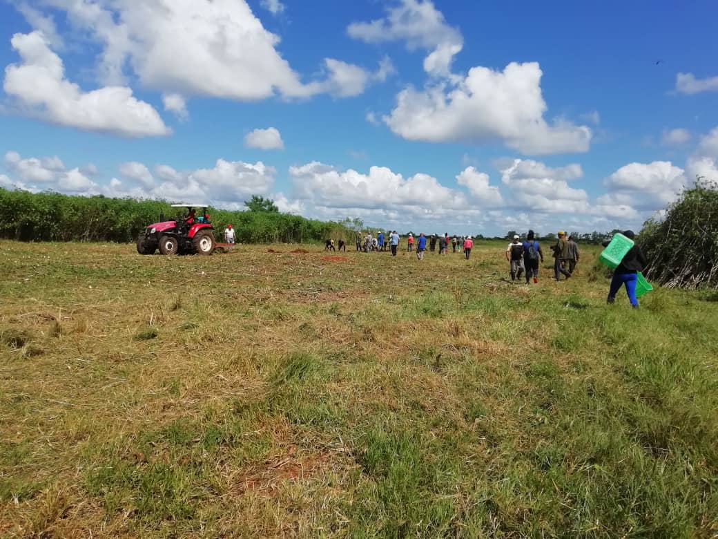 Feliz día a los trabajadores del sector agropecuario quiénes nos encontramos #UnidosXCuba comprometidos con el incremento de la producción de alimentos y la disminución de importaciones garantizado la seguridad alimentaria del país.
#Cuba
#JagueyEnVictoria
#MatancerosEnVictoria