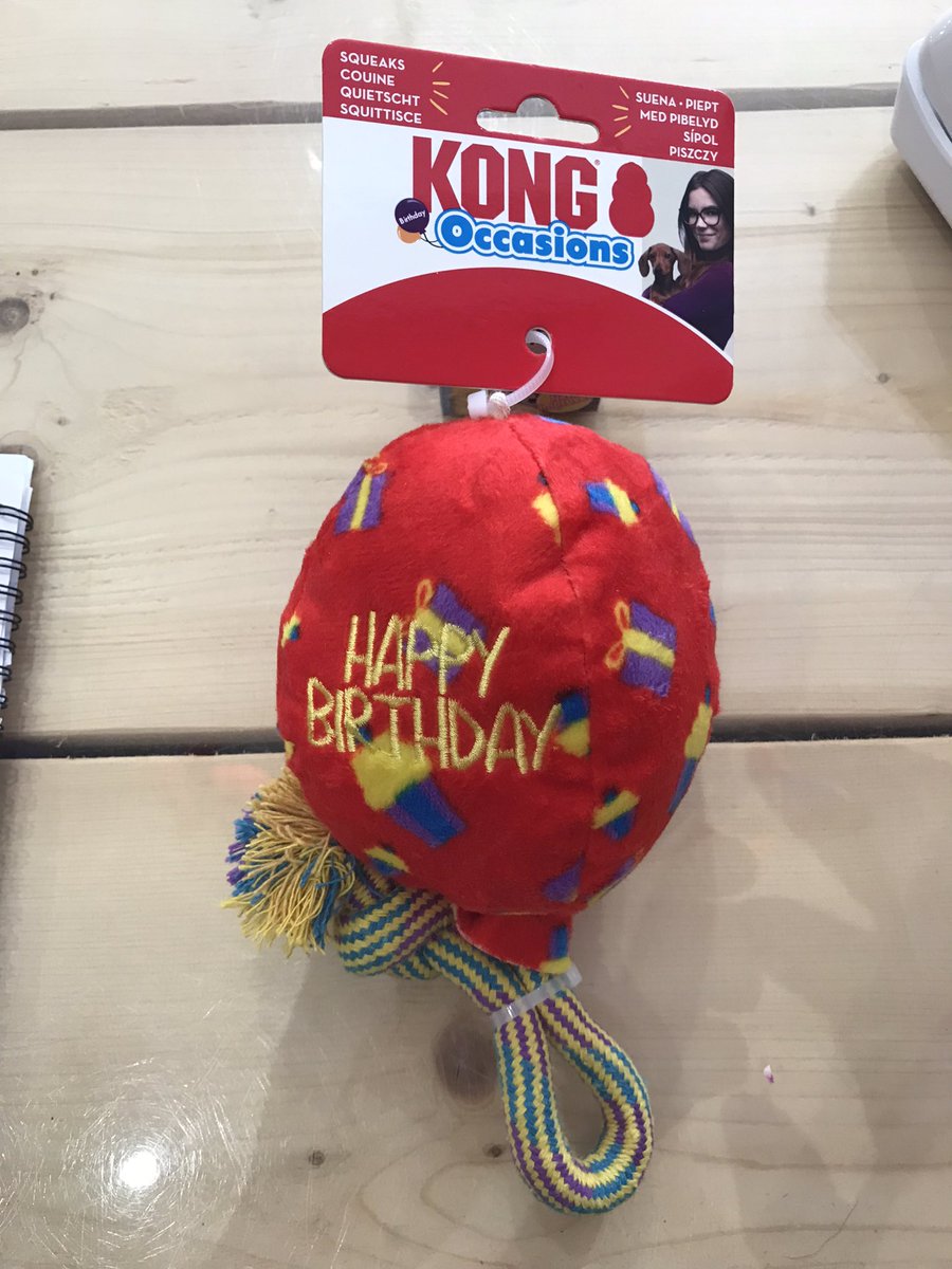 Birthday Boy!!!
Loved his new Kong frisbee and an ice cream 🍦