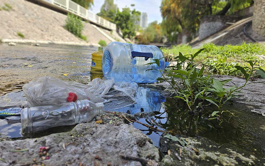 Adopta medidas para evitar la proliferación del mosco transmisor del dengue. Hay 10 estados del país con el mayor número de casos 
amqueretaro.com/dialogo-queret…