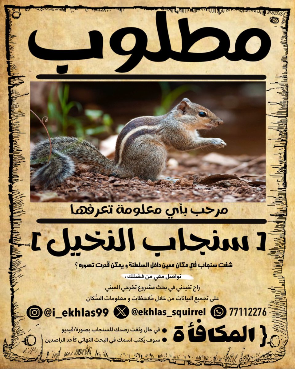 ekhlas_squirrel's tweet photo. @almawali_sm @ahmedali55729 https://t.co/g84uHZXwY6