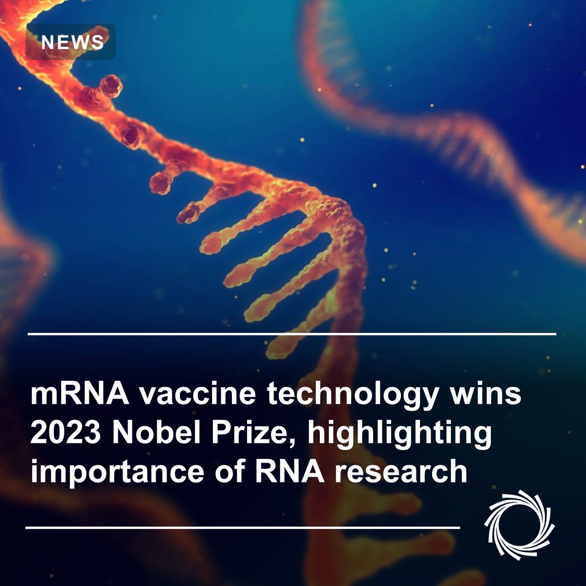 nanopore's tweet image. Katalin Karikó &amp;amp; Drew Weissman were awarded a @NobelPrize for their research into base modifications &amp;amp; development of mRNA vaccines. The award highlights the potential of RNA biology to which @nanopore is uniquely positioned to help advance.

Read more: bit.ly/46zU46I