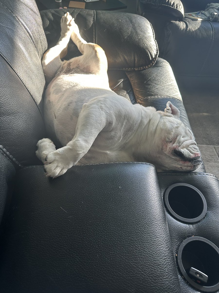 I found a sun puddle this morning ☀️ I wanted to sit on mom but she said no she had to work 🙄 Don’t tell her  🤫🤭 but I’m kinda glad I didn’t sit with her she doesn’t have a sun puddle 😂