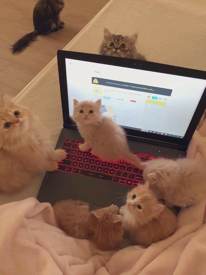 ❀ (@i3moment) on Twitter photo 