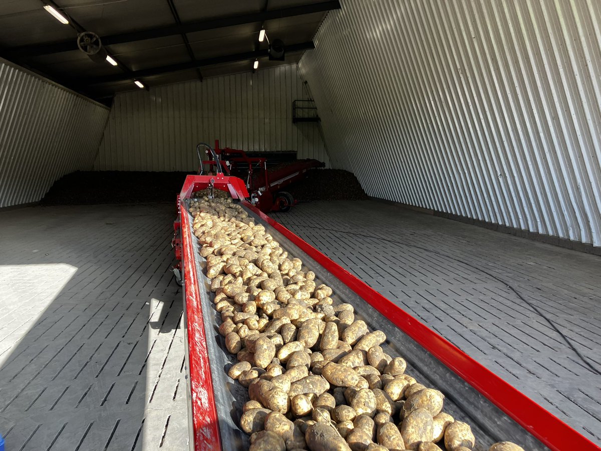 anne_enderest's tweet photo. Cel vol. Verzetten en door! Deze aardappels kan je over een paar maanden proeven bij McDonaldβs π #akker #KMWP #aardappelen #oogst23 https://t.co/Y1WkNlzc4B