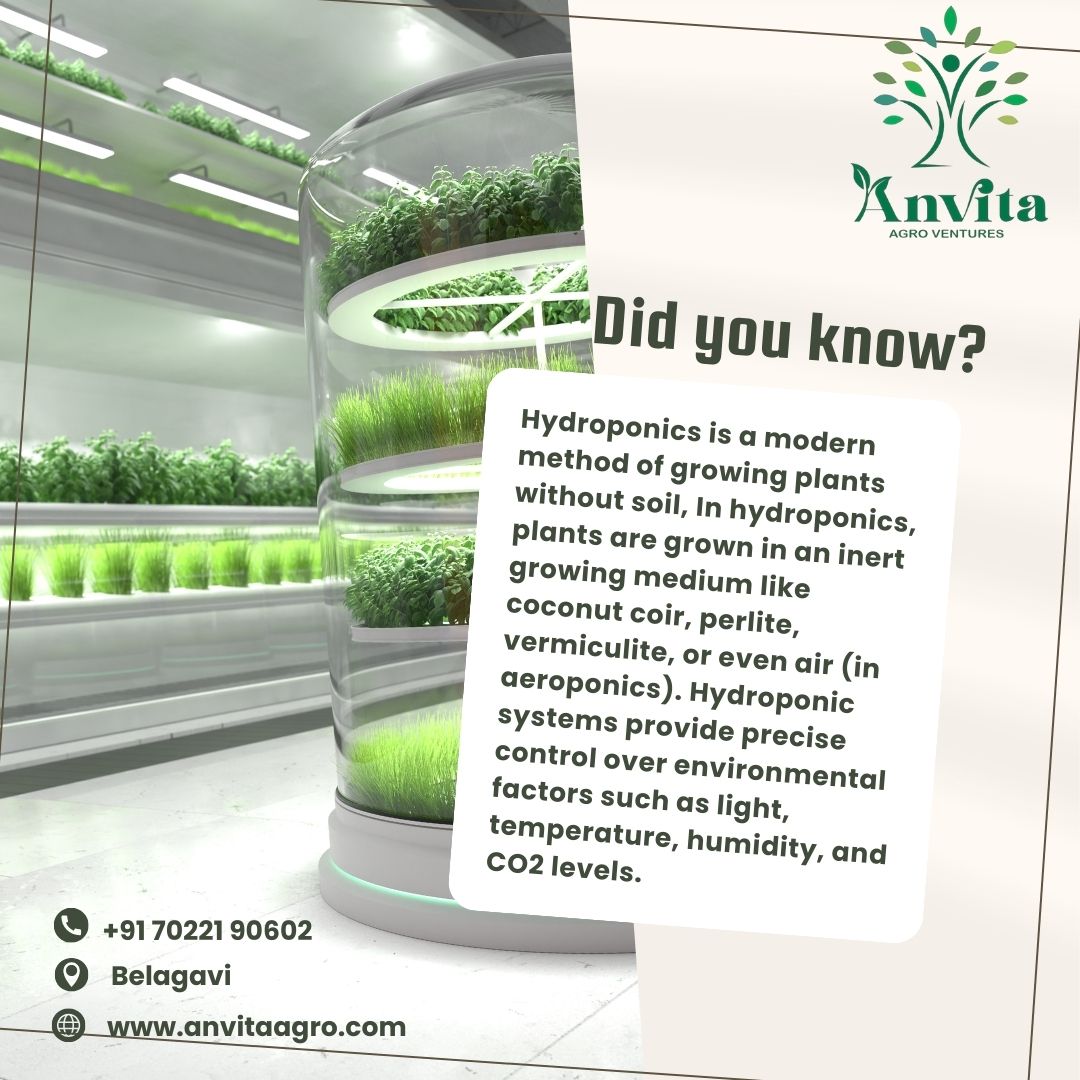 'Hydroponics is the technique of growing plants using a water-based nutrient solution rather than soil' 
#hydroponics #hidroponik #urbanfarming #hydroponicsystem #gardening #catfish #hydroponicgarden #agriculture #greenhouse #aquaponic #growyourown #garden #aquaponicsystem