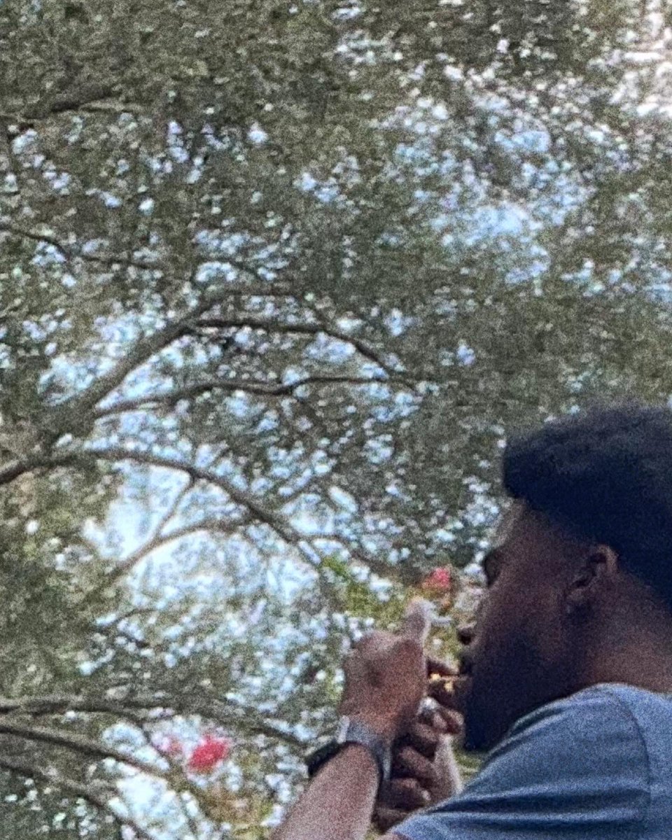 darteroftheyear's tweet photo. Day 2 Day https://t.co/JNaTg8a1HH