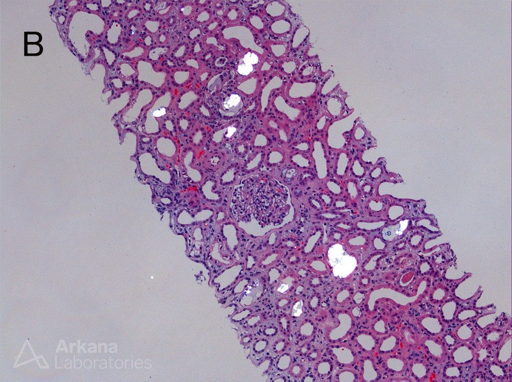 Arkana Laboratories tweet media