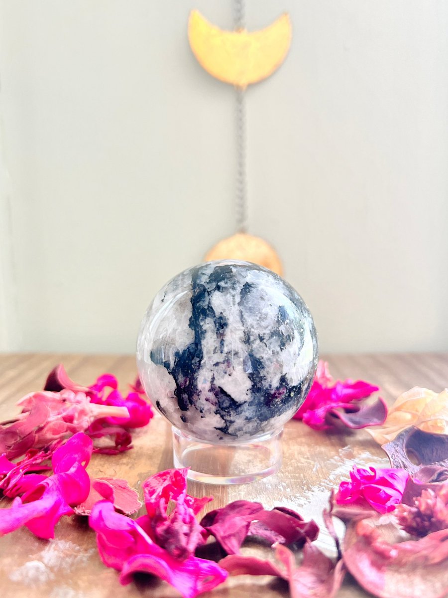 Annabtlouise's tweet photo. Treat yourself today to a gorgeous crystal from Rose and Quartz!🤍✨ I’d be honored if you’d take a chance on my shop!

We have high-quality, affordable crystals, specially curated mystery boxes, a gift with every order, same/next day shipping

VIDEOS🧵⬇️ https://t.co/buKUpcpL6P

📸: Red Banded Agate, Rainbow Moonstone, Ocean Jasper, Dark Flower Agate

Your support would mean EVERYTHING!🫶🏼 get free shipping on orders $75 and up with code FREE