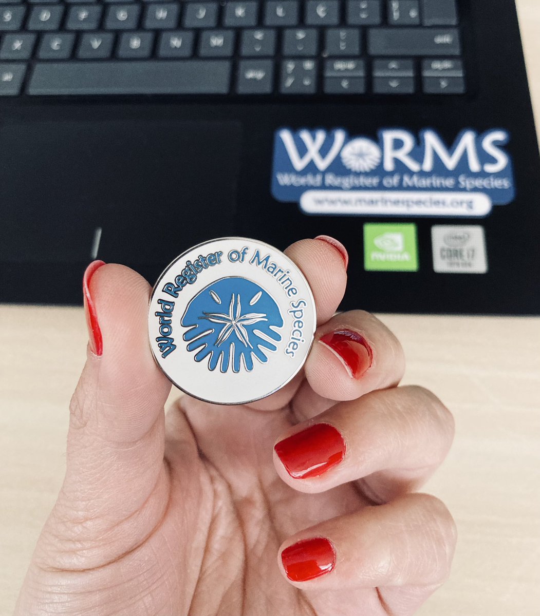 Workshop @WRMarineSpecies in Recife 🇧🇷

#marinespecies #WoRMS