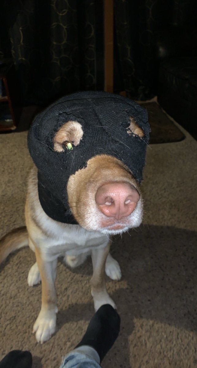 Nick Hempel tweet media