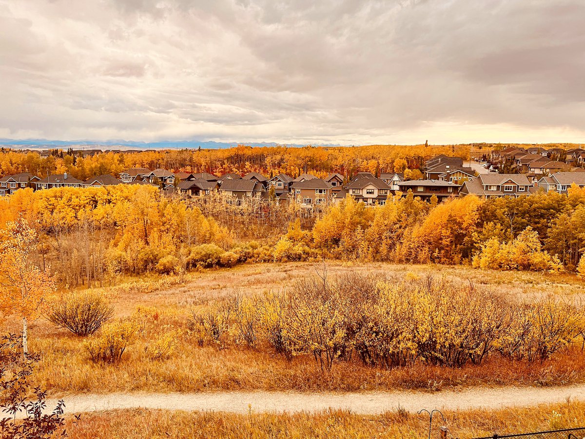 Goodbye summer, hello fall 🍁🍂🎃🌻

#yyc #yycfall #fall #fallcolours #fallcolors