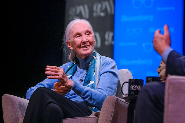 JaneGoodallInst tweet picture