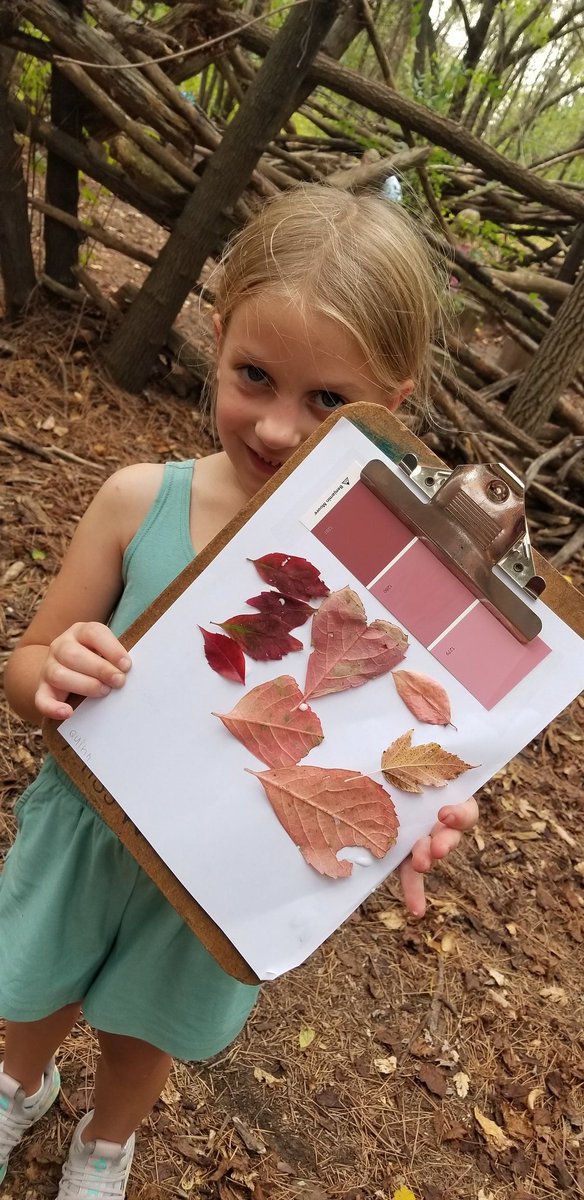 McMahonFirsties's tweet photo. Fall color search was so much fun! #mcfirsties #handsonlearning #firstgradeforesters https://t.co/1wmRWsaZ3u