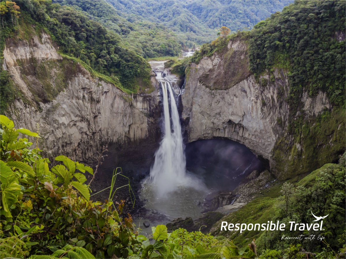 EcuGalapagos's tweet photo. The Ecuadorian Amazon is not just a destination; it's a journey into the heart of the Earth. Let's explore, appreciate, and protect this irreplaceable piece of our planet. 🌏🌿 Responsible Travel; Reconnect With Life 🍃 #ExploreEcuador #EcuadorAmazonico #EcuadorianAmazon https://t.co/EemQtYCkle
