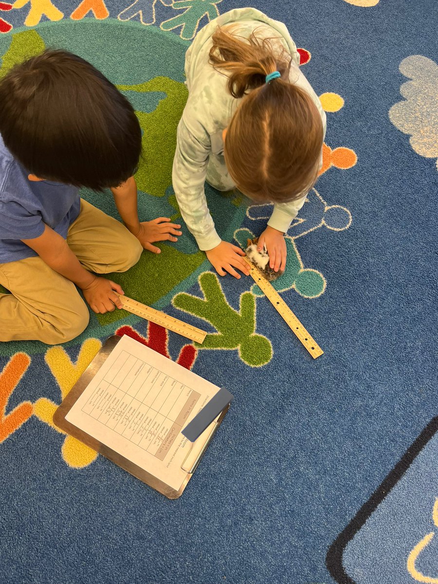 MsDenglerRBPS's tweet image. Exciting things happening in Math Workshop! Ss measured objects around the room &amp;amp; learned a new fact fluency center. @Ms_JRivera @rbpsEAGLES #RBBisBIA