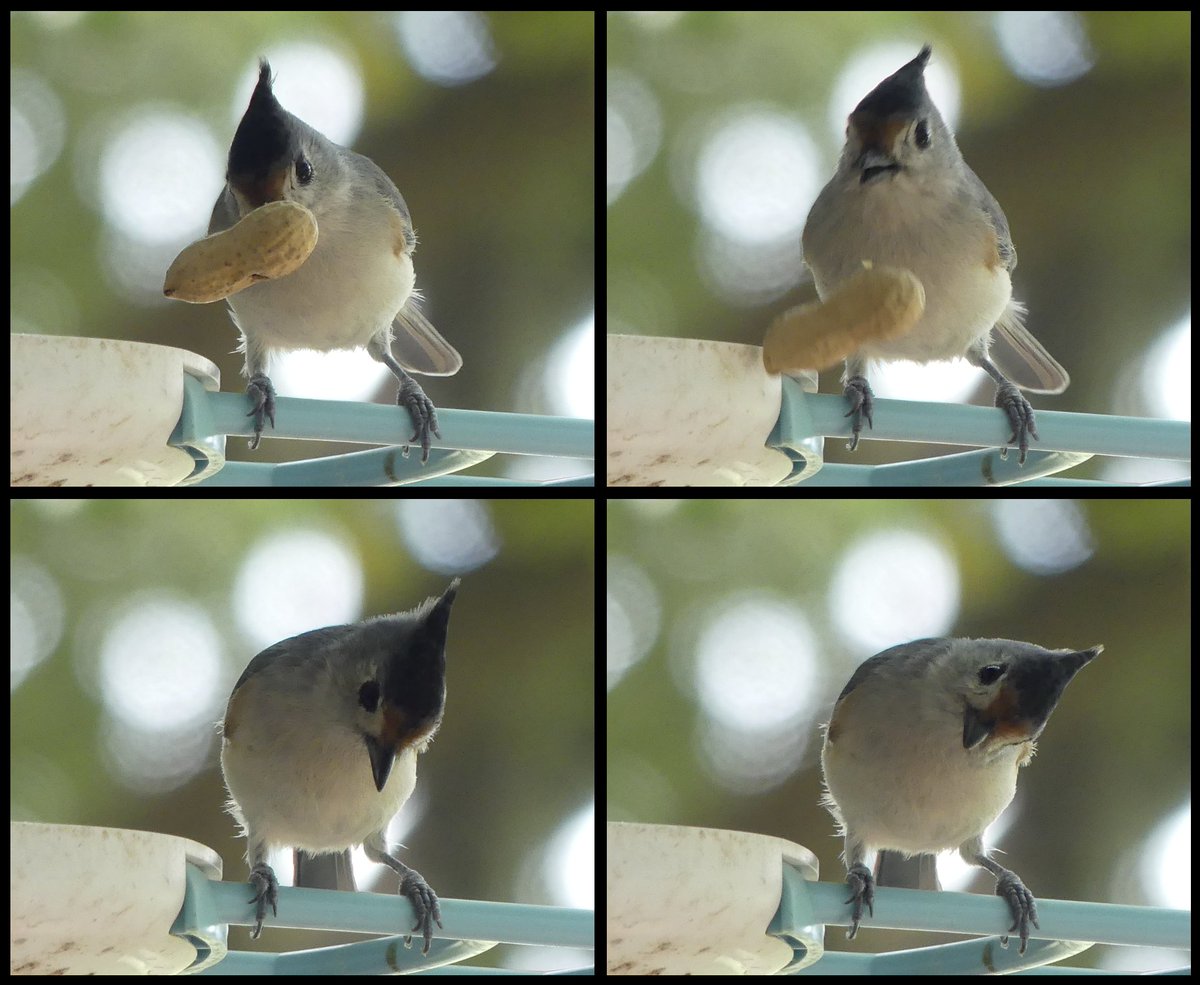 Mark Nau (@mark_nau) on Twitter photo 