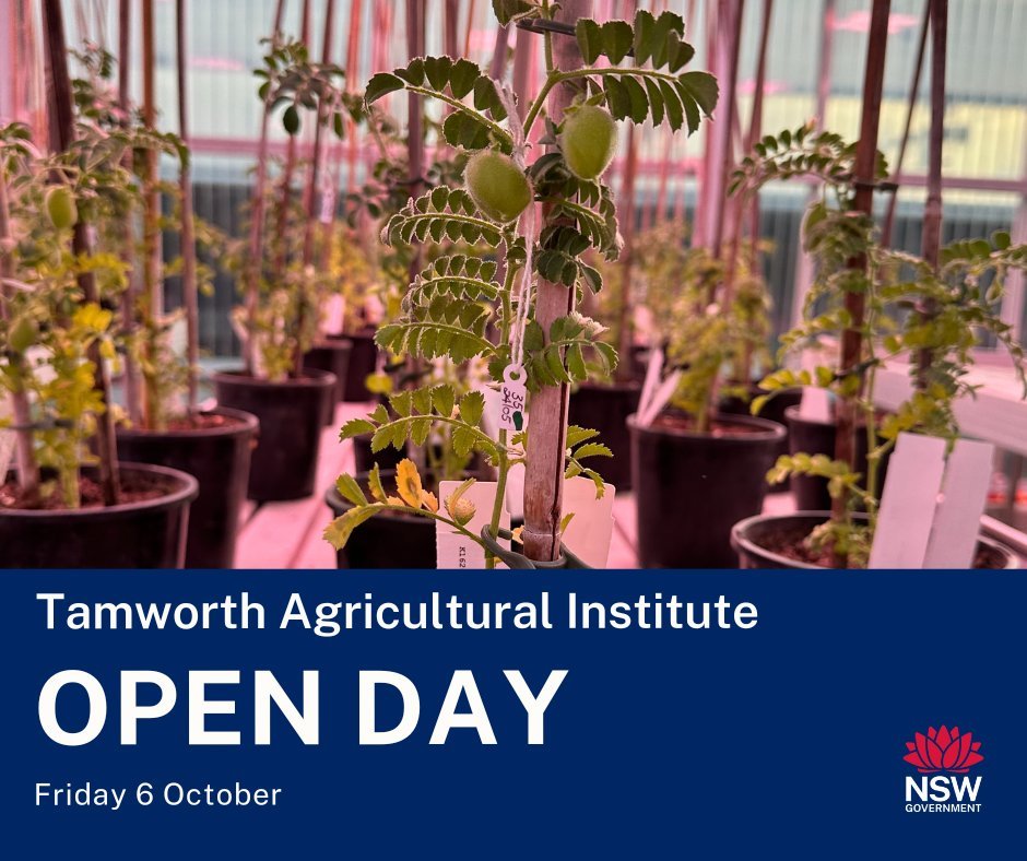 NSW Agronomy (@nsw_agronomy) on Twitter photo A field day WITH:
🦄Petting zoo
🏰Jumping castle
🚜Machinery
🌿Farm tours
🥪Great food
....now your talking😉😉😉
Tamworth Ag Institute is celebrating 75 yrs, come join us!!
More info⬇️
events.humanitix.com/dpi-tamworth-a…
@nswdpi @DPI_Livestock <a href="/ChickpeaAus/">ChickpeaBreedingAustralia</a> A field day WITH:
🦄Petting zoo
🏰Jumping castle
🚜Machinery
🌿Farm tours
🥪Great food
....now your talking😉😉😉
Tamworth Ag Institute is celebrating 75 yrs, come join us!!
More info⬇️
events.humanitix.com/dpi-tamworth-a…
@nswdpi @DPI_Livestock <a href="/ChickpeaAus/">ChickpeaBreedingAustralia</a>