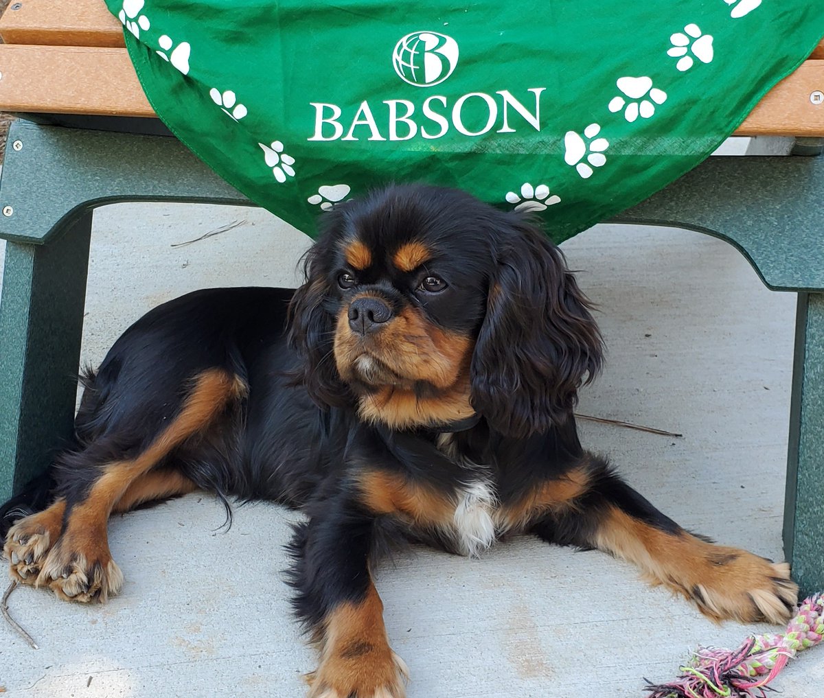 Join me and make a gift to Make Your Mark  #MakeYourMark give.babson.edu/make-your-mark…  #MakeYourMark #Babson <a href="/babson/">Babson College</a>