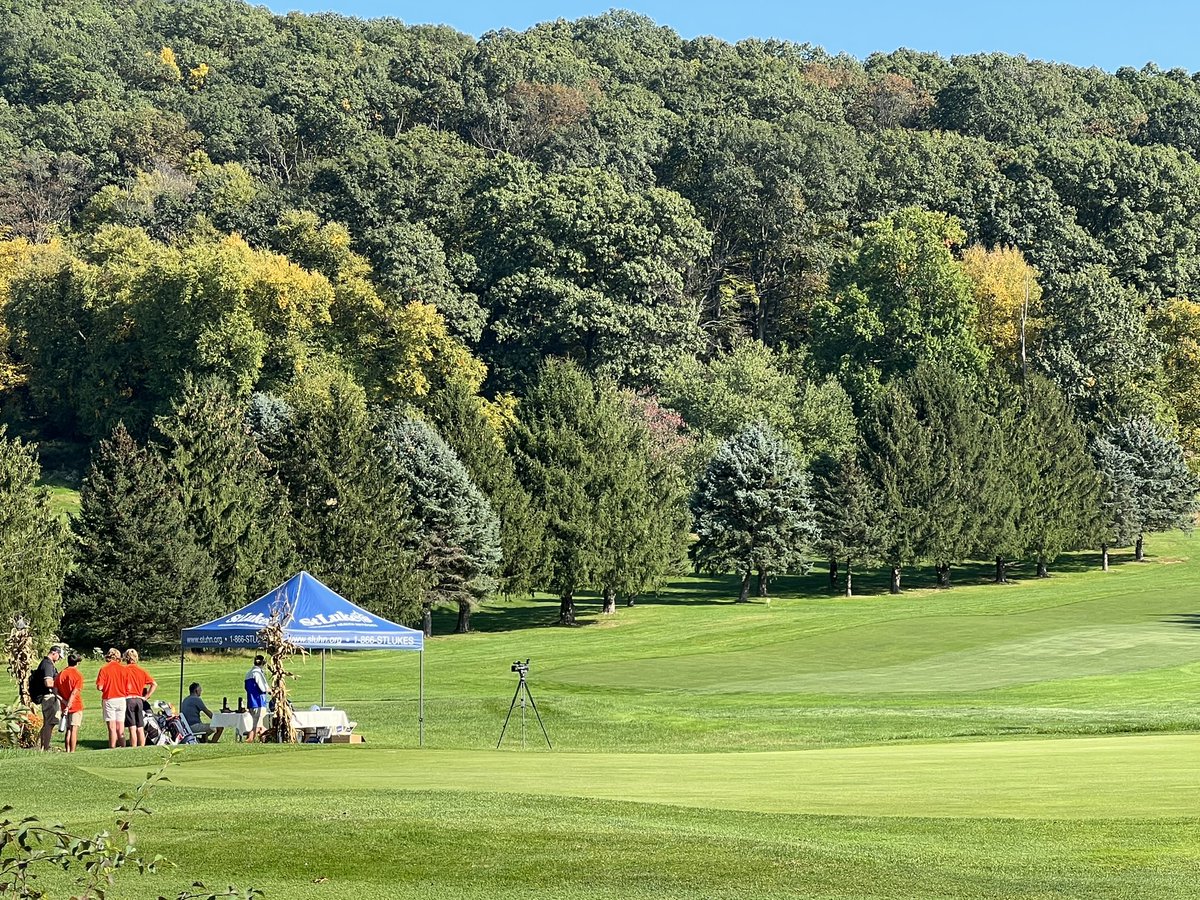 D11Sports tweet media