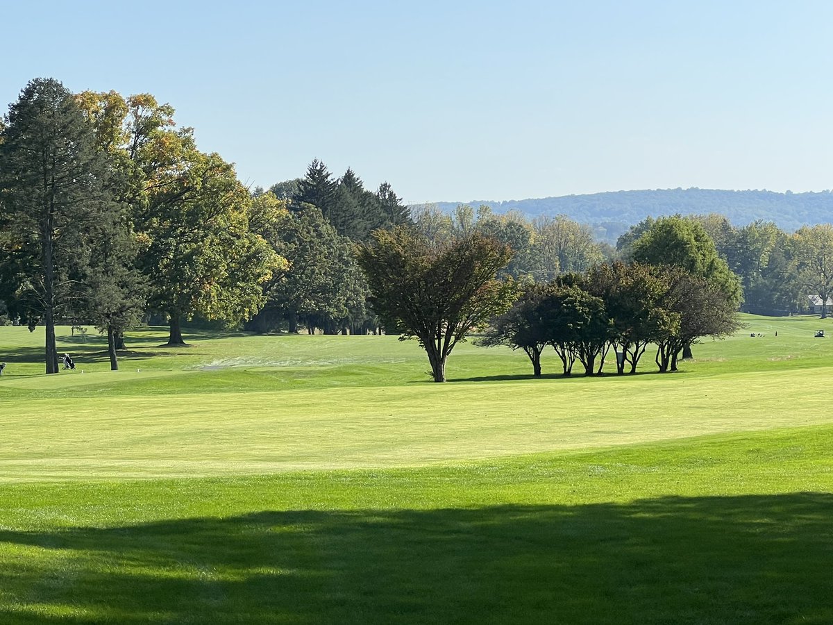 D11Sports tweet media