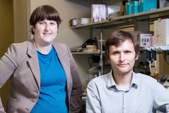 Rice Neuroengineering Initiative (@riceneuro) on Twitter photo 🏆 Jerzy Szablowski (<a href="/JerzySzablowski/">Jerzy Szablowski</a>) is one of two Rice Bioengineerings selected as recipients of the NIH Director’s New Innovator Award (NIA). This award will, "support early-career investigators with ambitious, unconventional project proposals." 🏆
loom.ly/8fmrSTo 🏆 Jerzy Szablowski (<a href="/JerzySzablowski/">Jerzy Szablowski</a>) is one of two Rice Bioengineerings selected as recipients of the NIH Director’s New Innovator Award (NIA). This award will, "support early-career investigators with ambitious, unconventional project proposals." 🏆
loom.ly/8fmrSTo