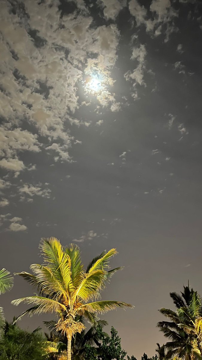 Aisha24810's tweet photo. عذرتك لين الأعذار منك تبرت… https://t.co/a00V7N7NIH