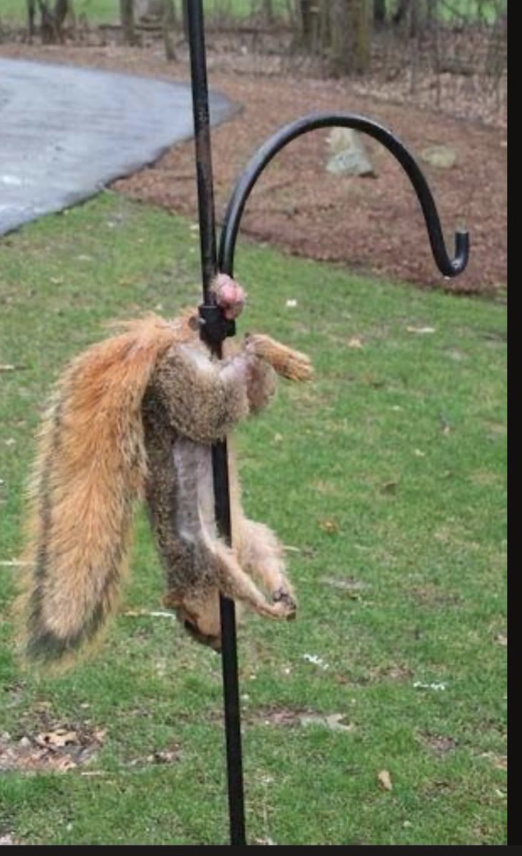 Kevin McCarthy just got his nut sack caught in the feeder!