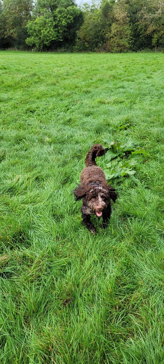 SteveGrange tweet media