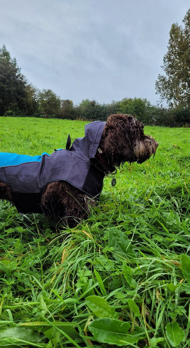 SteveGrange tweet media