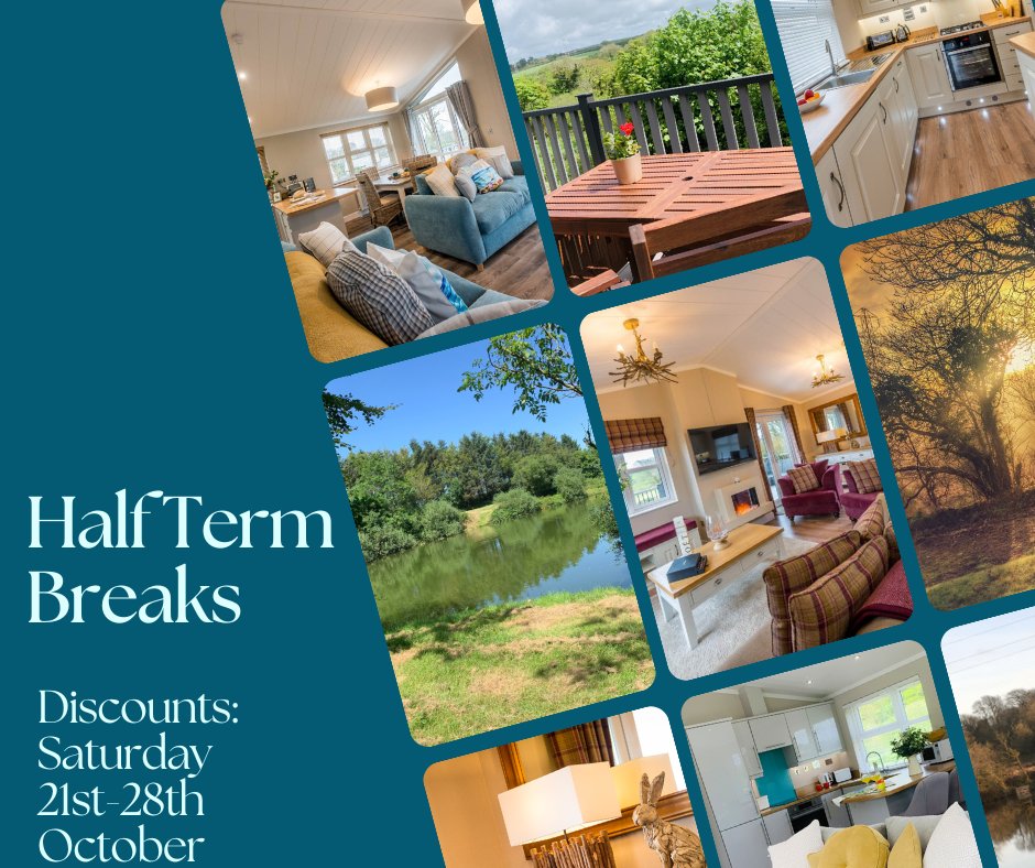 St. Tinney Farm Holidays tweet media