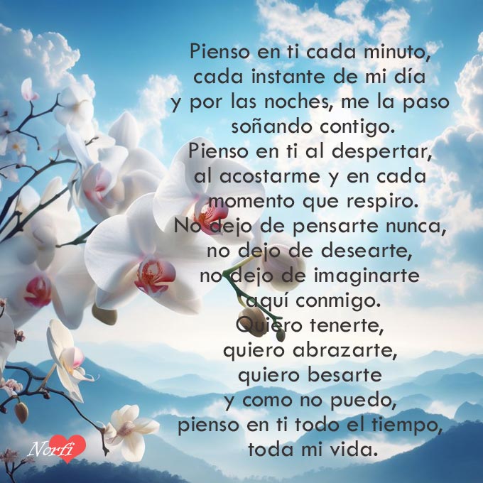Quiero tenerte, quiero abrazarte, quiero besarte y como no puedo, pienso en ti todo el tiempo, toda mi vida.
norfipc.com/poemas/pienso-…
#poema
#poemadeamor
#piensoenti