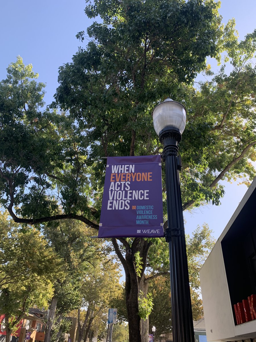 October is Domestic Violence Awareness Month. <a href="/WEAVEinc/">WEAVEInc</a> spearheads events, activities, and campaigns during this month to spread awareness and support our community including the addition of 37 banners installed along J street.💜 Learn more: bit.ly/3Q4huM5.