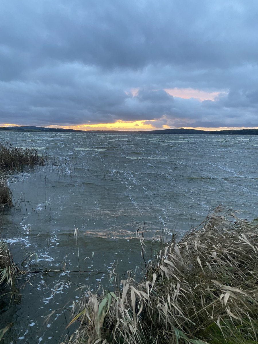 Bissl windig am Bodden. Liebs 🤗😍