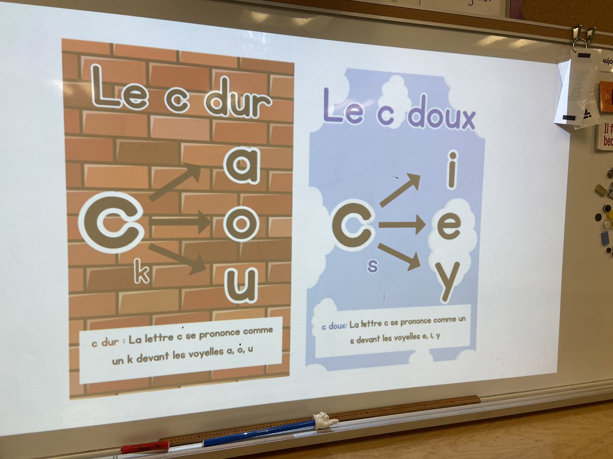 Meaghan Samuel tweet media