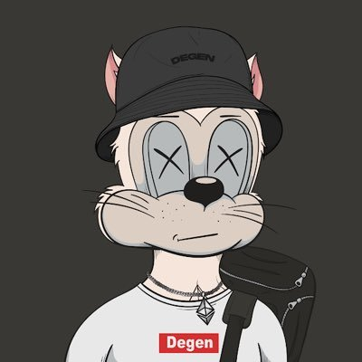 EthAnastaze's tweet photo. a cat in panama🤣😆😄 https://t.co/mAi2VO4D0g