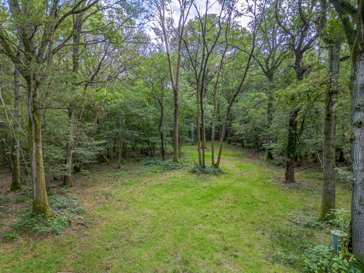 Chases Copse - 15.36 acres of Woodland at Vicarage Lane, Hound Green, Hook, Hampshire. Guide Price £230,000

A desirable block of Ancient and Semi-Natural woodland.

Please contact Fergus Hodge fhodge@simmonsandsons.com or 01256 327711

#forsale #woodland #property #rural