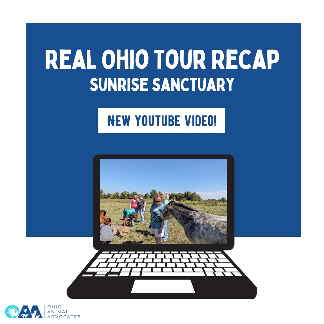 OHVoice4Animals's tweet photo. Our #realohiotour to Sunrise Sanctuary is now available to watch on YouTube! 📷

Did you miss the tour? No worries! Watch the recap video from the comfort of your home– p.s. subscribe while you are there! 

https://t.co/qeFzXEQzP1 https://t.co/R7AAh6I6wW