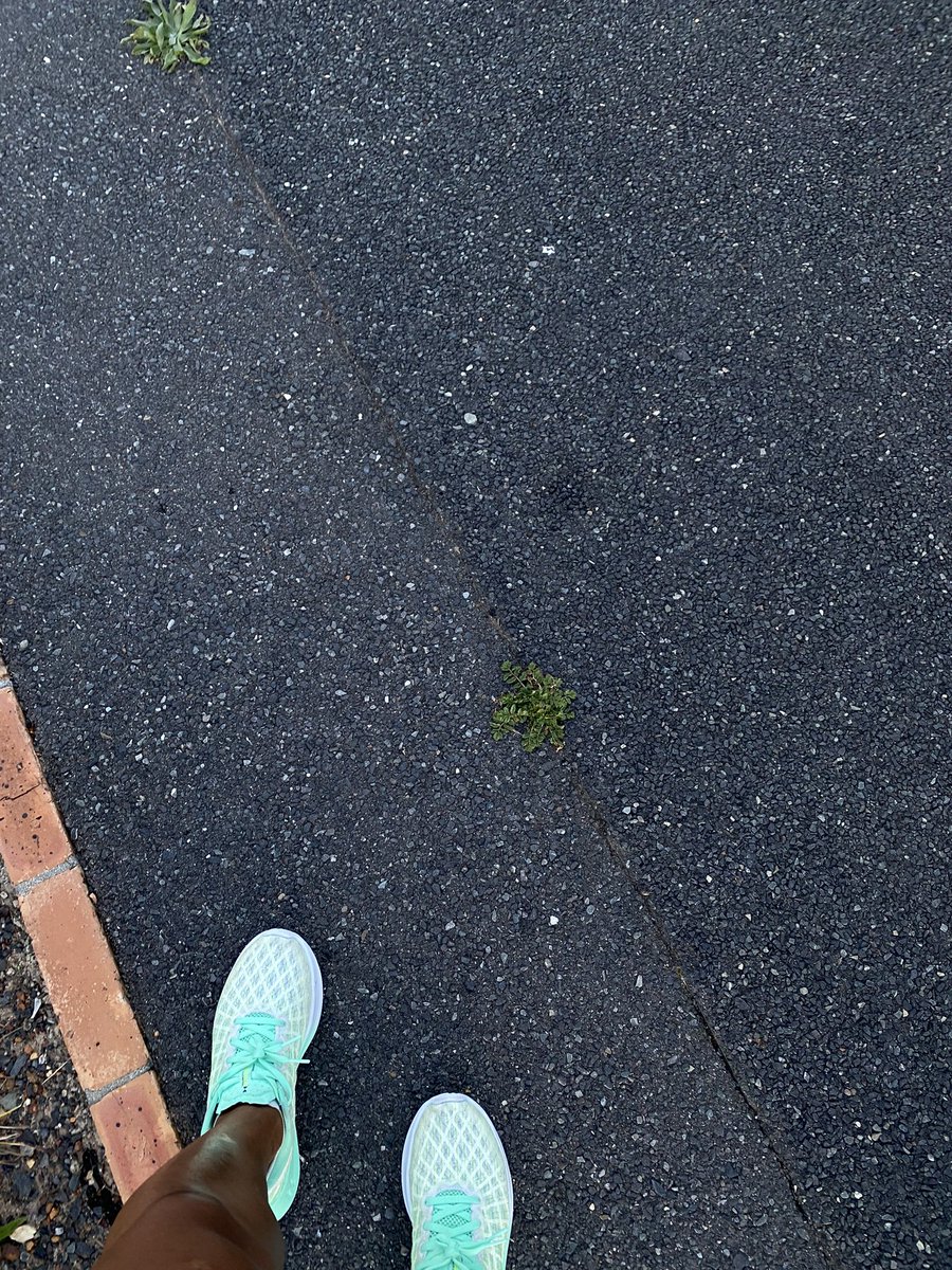 nomvul_khuzwayo's tweet image. Ran in Zonnebloem today! 
The hills were tough, but the my God the views are everything! #CapeTown #Runner #underarmour 🤌🏾🌞