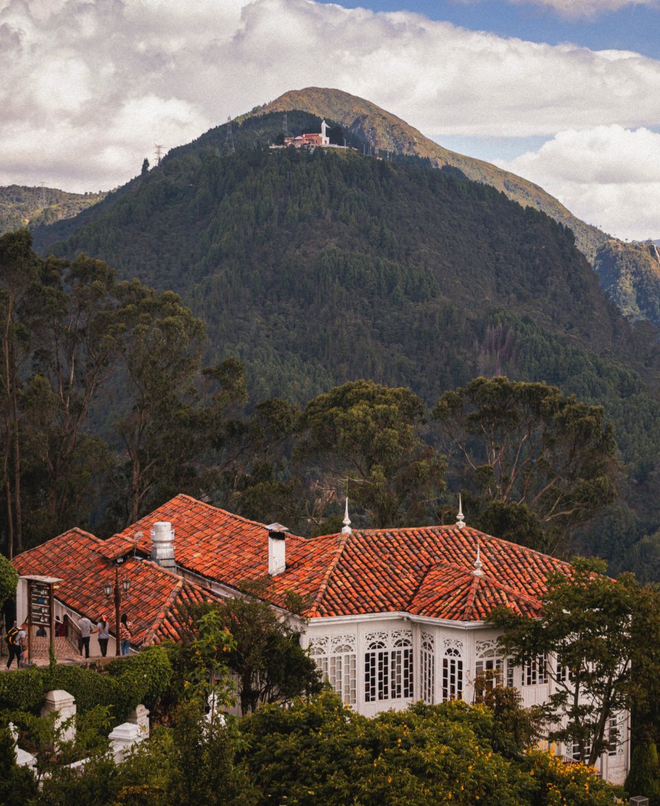 Tripadvisor tweet media