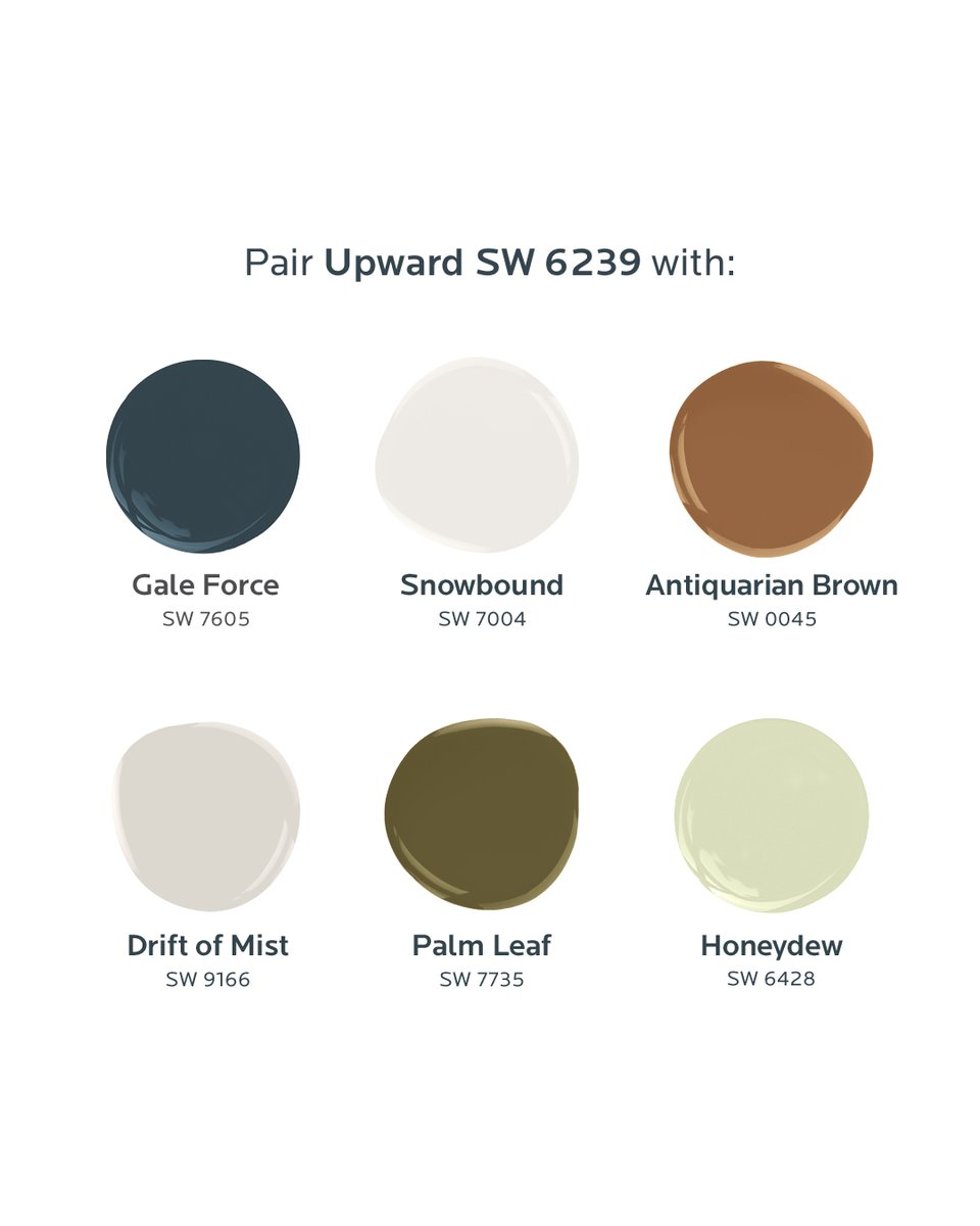 SherwinWilliams's tweet photo. Let your ideas take flight. Order free color chips of our 2024 #SWColoroftheYear, Upward SW 6239, and its six coordinating colors: https://t.co/Tk5CbkHAHG
.
#SWColoroftheYear https://t.co/NEMTkElFTX