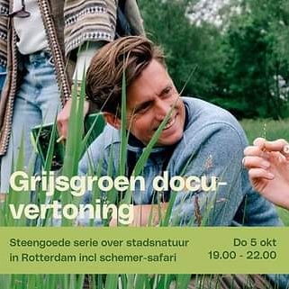 Donderdag 5 oktober 19.00 uur in @OASE Rotterdam #docu #Grijsgroen van filmmaker Rik van der Linden. Een steengoede serie over #stadsnatuur in 010 + 'n extra aflevering over de Rotterdamse #stadsparken 🌳. Na de films 'n #schemersafari 🌛. Lees hier 📲: degroeneagenda.nl/site/event/gri… 🍃