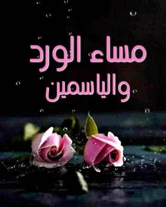 مساء الورد— 🌸
يقولون أن الورد أحلى ما في الكون
 وأنا أقول لولا وجودكم ماكان للورد لون 🩷
🌸 ومساء الخير 🌸
كتبناها للطيبين و أرسلناها للغاليين

<a href="/Bbbwer5/">جمعه العتاك</a> 
<a href="/trzan32/">سندباد    تم اهداء الحساب</a> 
<a href="/atefa81/">عاطف</a> 
<a href="/yali158/">ياعلي ٢</a>
<a href="/fitma_ali/">ύgɹ̈Lᓘ 𓆩𓅆𓆪๛</a> 
<a href="/FNT_313/">ابوسويمر2✍</a> 
<a href="/wu___m/">مـلّــآمــح مـاي...</a> 
<a href="/wait__hart/">شــــــاهزنــــان</a> 
<a href="/tamatayaa/">طماطايه 🍅</a> 
<a href="/Se___maa/">🇮🇶</a> 
@aya___tm 
<a href="/Afnan81_______/">༻ ذٌوُاتـــا أفُنٌـــــــان࿐ </a>